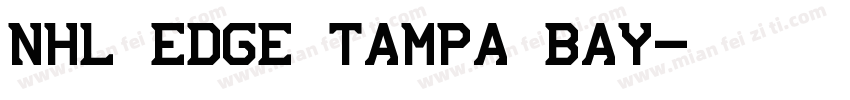 NHL Edge Tampa Bay字体转换